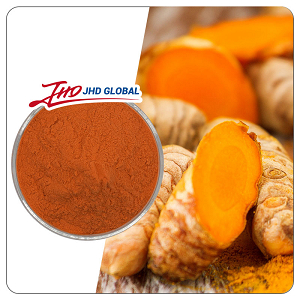 Turmeric Root Extract Powder
