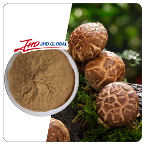 Shiitake Mushroom Extract Powder