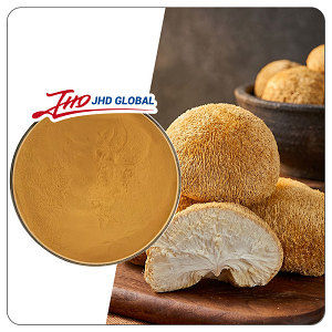 Lion's Mane Mushroom Extract Powder