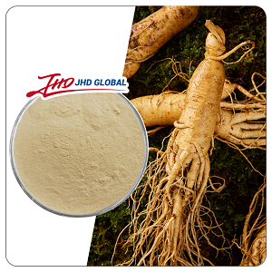 Panax Ginseng Root Extract Powder