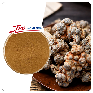 Panax Notoginseng Root Extract Powder