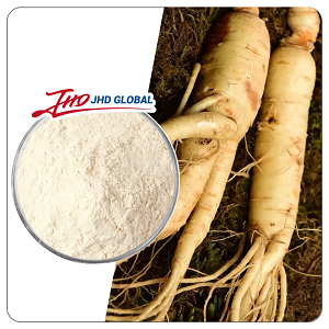 Korean Red Ginseng Extract Powder