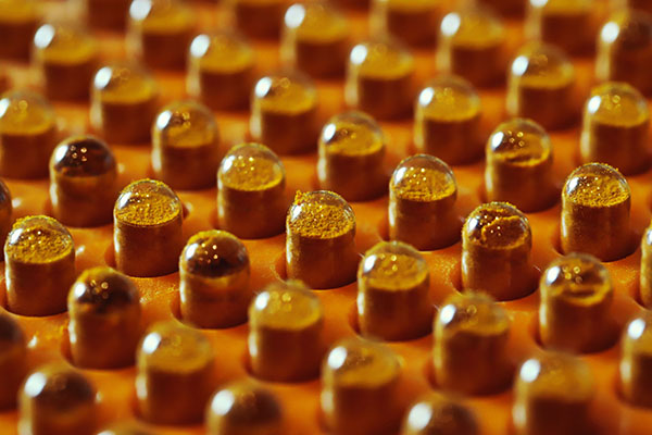 Why Partnering with the Right Curcumin Manufacturer Can Make or Break Your Product Launch