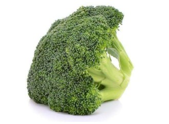 Anti-obesity effect of broccoli extract sulforaphane