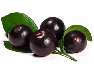 Acai berry-the most antioxidant fruit 
