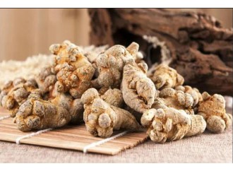 Learn an herbal every day - Panax notoginseng