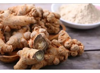 What are the benefits of taking Panax notoginseng? It's not too late to know now