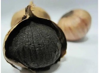 How to effectively manage your weight, let black garlic extract help you!