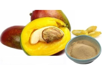 Natural healthy slimming products - African mango seeds