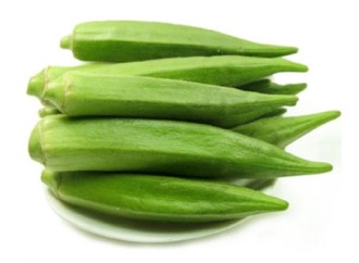 What are the pharmacological effects of okra extract