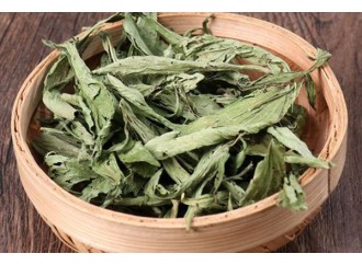 Learn an herbal every day - stevia leaf