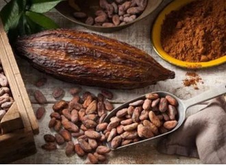 Cold knowledge about cocoa powder that you don't know