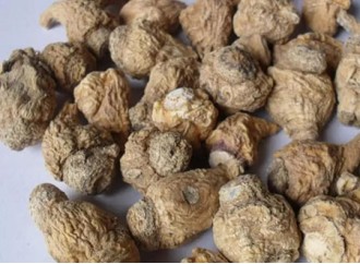 Maca extract helps male and female reproductive health