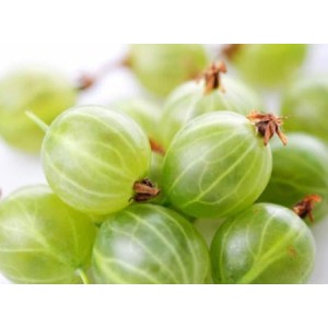 Study: amla extract may prevent metabolic syndrome