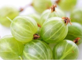 Study: amla extract may prevent metabolic syndrome