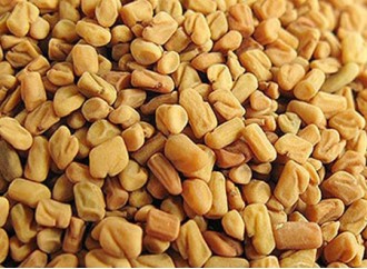 Are Fenugreek Seeds Healthy for Diabetics?