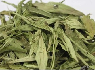 Are there health risks from long-term use of stevia leaves extract?