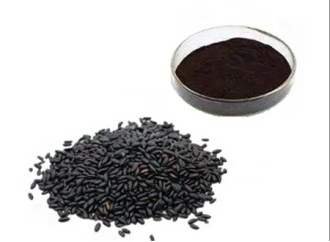 Black rice is known as a health product. What is the effect of black rice extract?