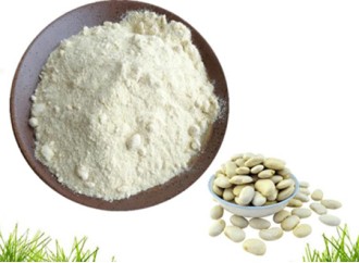 Can white kidney bean extract really help lose weight? How's the effect?