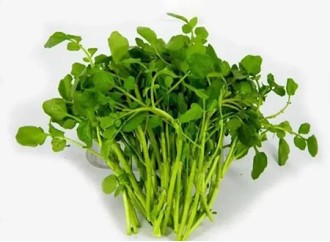 Efficacy and role of watercress extract in skin care cosmetics