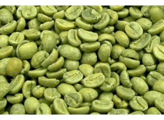 Weight loss people must know the advantages of green coffee beans