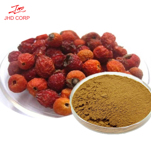 Rose Hips Extract 10:1 TLC