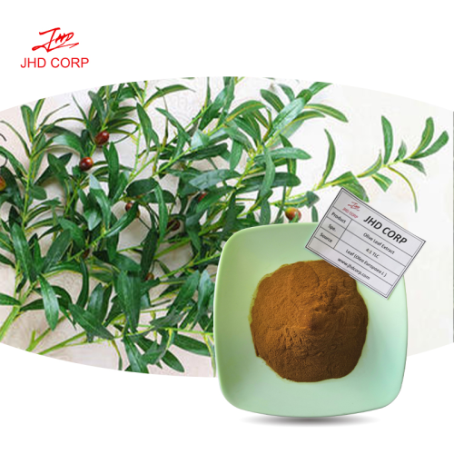 Olive Leaf Extract; Oleuropein