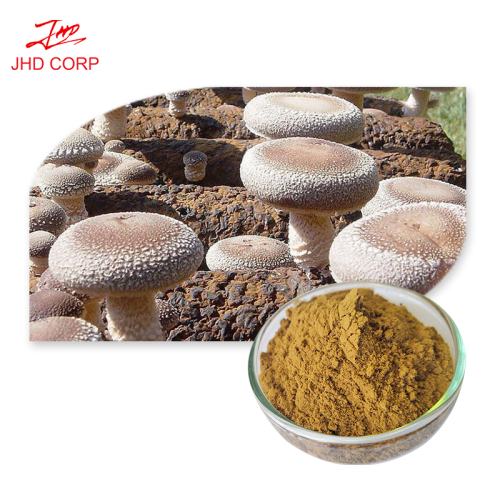 Shiitake Mushroom Extract powder