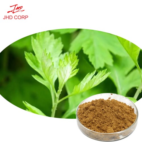 Wormwood Extract Ratio Extract