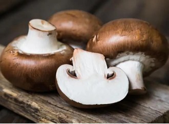 What nutrients are in shitake mushroom extract?