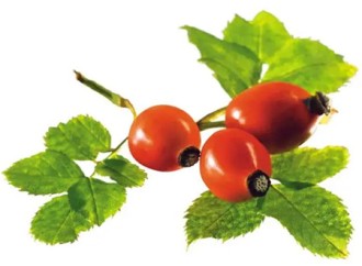 Rose Hip Extract: Anti aging and Soothing for skin