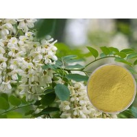Sophora japonica extract - Rutin