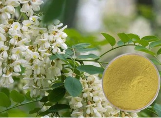 What are the effects of Sophora japonica extract - rutin?