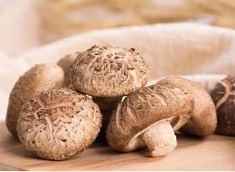 Shiitake mushroom extract clears HPV infection, study finds