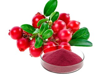 Are Cranberry Extract Good for You? What benefits are there?