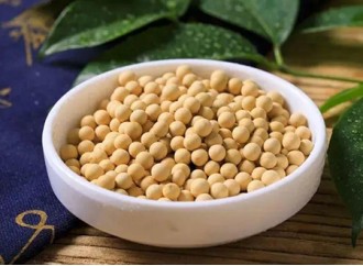 What are the functions and benefits of soybean extract - soybean lecithin?