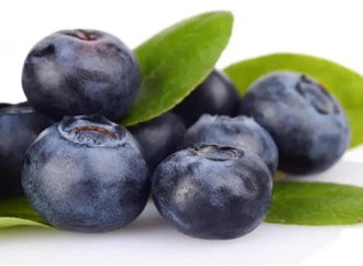 What are the effects of bilberry extract?