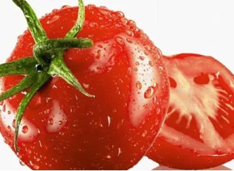 What are the effects of natural lycopene?