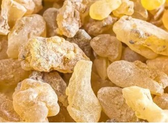 The use of Boswellia extract and its therapeutic benefits