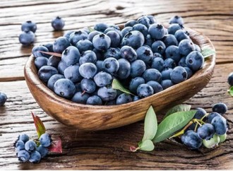 What is the difference between the anthocyanins in blueberry extract?