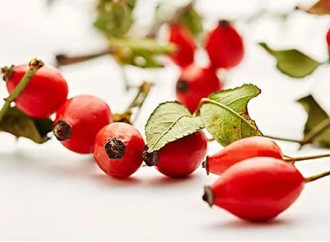 Which benefits of rose hip extract do you know?