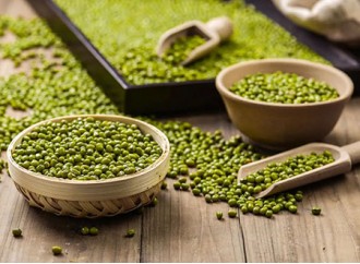 What is the nutritional value of mung bean protein powder?