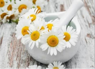 Chamomile extract is very effective in these aspect