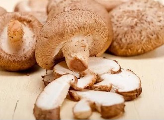 Why do shiitake mushroom extracts have a lot of market potential?