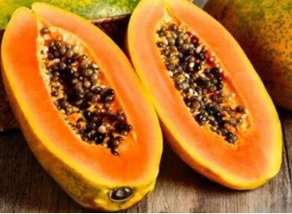 Is there any prospect of of magic Papaya Extract Ratio Extract ?