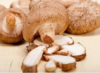 What medicinal value does shiitake mushroom extract ratio extract have?