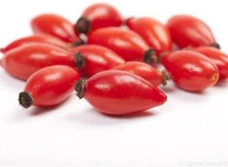 Which rosehip extract straight powder is stronger for fat loss and beauty?