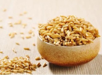 Why is oat called the highest nutritional value of cereals?