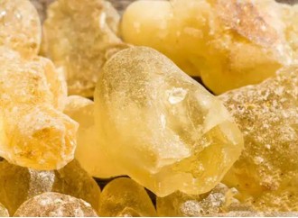 The Benefits for Healing and Uses of Boswellia Extract