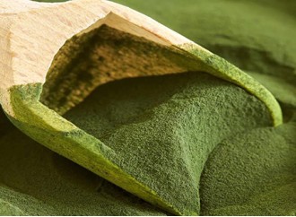 What to look for when choosing an organic chlorella powder supplement?